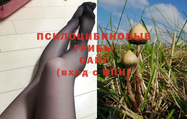 бошки Надым