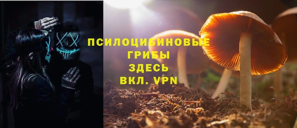 бошки Надым